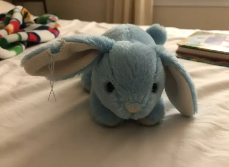 Photo de Lapinou, lapin bleu ciel