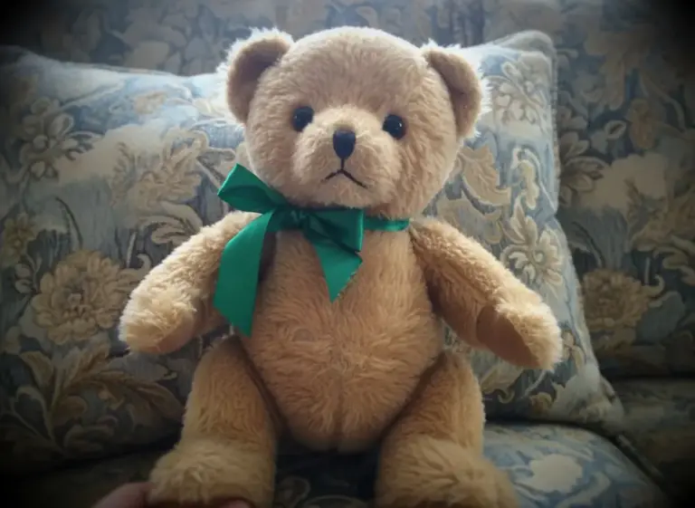 Photo de Nounours, ours marron clair, nœud vert